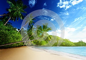 Sunset on beach, Mahe island, seychelles photo