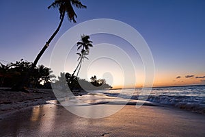 Sunset on the beach. Paradise beach. Tropical paradise, white sand, beach, palm trees and clear water