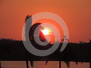 Sunset on beach photo