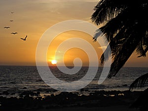 Sunset on the beach of sea photo