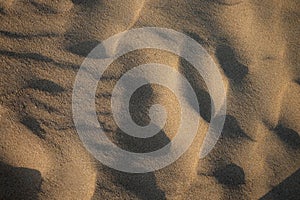 Sunset on the beach. Shadows on sand texture.