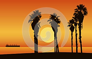 Sunset beach with silhouette of palm trees. Vector Illustration.