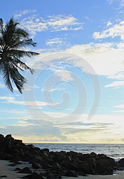 Sunset from beach with silhouette of trees and rocks under golden blue sky