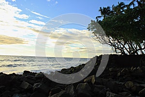 Sunset from beach with silhouette of trees and rocks under golden blue sky