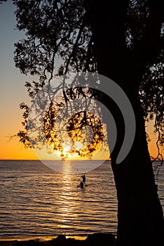 Sunset by the beach with silhouettes of paddle boarders in the distance