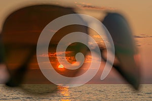 Sunset on beach in summer evening through sunglasses