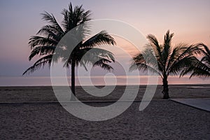 Sunset beach Thailand Chumphon area with palm trees