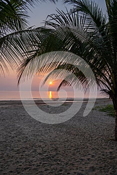 Sunset beach Thailand Chumphon area with palm trees