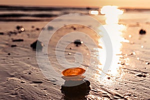 Sunset on the beach. Tinted photo in golden highlights. Sea and sandy beach with many shells in the sand. Free space for photo