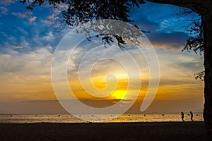 Sunset Beach and tree and people