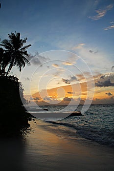 Sunset from the beach of a tropical island in the Maldives, with palm trees and the ocean