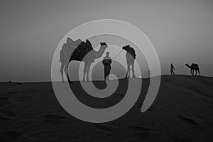 Sunset with beautiful camel