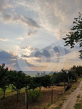 Sunset with beautiful clouds over a rural garden in early autumn