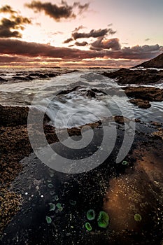 Sunset at a Beautiful Oregon Beach Overlooking the Pacific Ocean