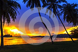 Sunset beautiful with shadow coconut on beach