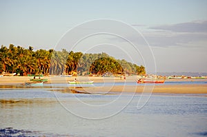 Sunset on beautiful white coral sand beach with palms