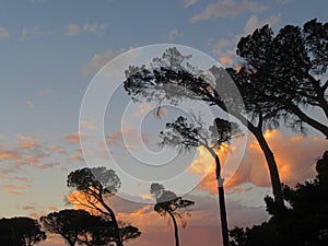 Sunset Beauty in Cloud  Reflections