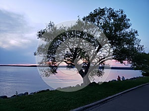 Sunset behind a big tree at Clear Lake, Riding Mountain National Park, Manitoba photo