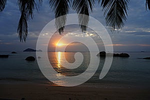 Sunset behind coconut tree leaves.