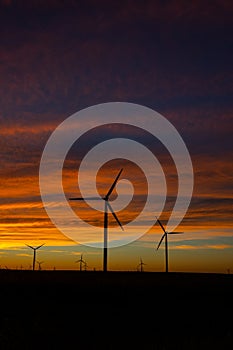 Sunset behind a field of wind turbines