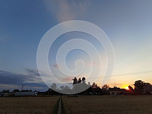 the sunset behind a lone wheat field and farm buildings along a long track