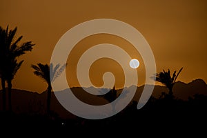 sunset behind the mountain against the background of palm trees in Egypt in Sharm El Sheikh, sunset in the desert