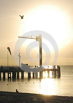 Sunset behind pier with bird flying and boy in sand
