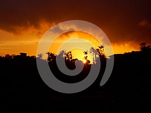 Sunset behind the Tantalus mountain past tropical silhouette of trees