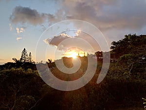 Sunset behind the Tantalus mountain past tropical silhouette of trees