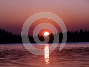 Sunset behind the tree at Waldo Lake