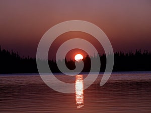 Sunset behind the tree at Waldo Lake is a natural alpine lake in the Cascade Mountains of the U.S. state of Oregon