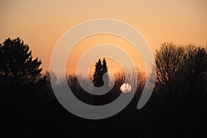 Sunset behind bare winter trees with orange sky.