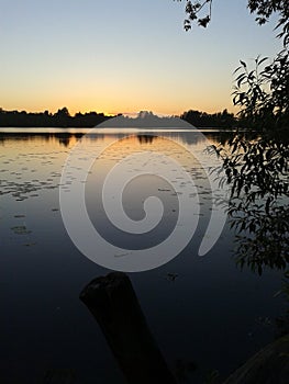A sunset behind trees.