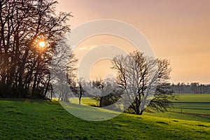 Sunset behind trees and view over fields and meadows