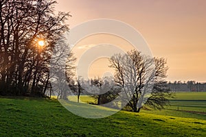 Sunset behind trees and view over fields and meadows