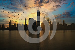 Sunset with birds and the city with tall buildings silhouette