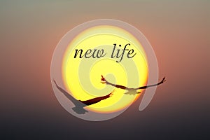 Sunset and Birds with new life text