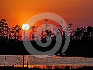 Sunset at Blackwater National Wildlife Refuge in Maryland