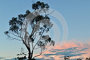 Sunset in the Blue Mountains of Australia