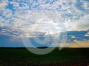 Sunset blue sky amid green fields