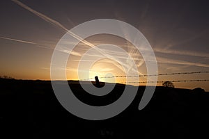 Sunset and blue sky background and plane traces.