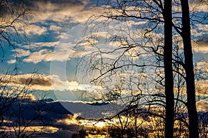 Sunset on blue sky behind tree branches