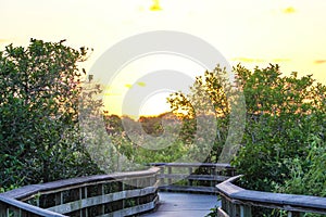 Sunset on the boardwalk in Everglades National Park