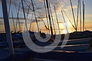 Sunset Through Boat Masts