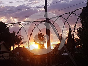 Sunset through bobwire fence South Africa