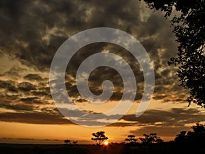 Sunset in a Bolivian Jungle