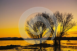 Sunset at Bosque del Apache, New Mexico photo