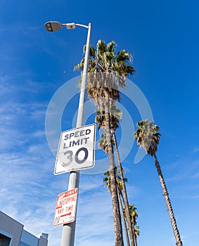 Sunset Boulevard Speed Limit Sign photo