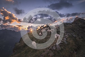 Sunset at Brunnenkogelhaus