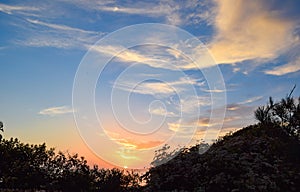 Sunset Through the Brush at Torrey Pines State Reserve in San Diego